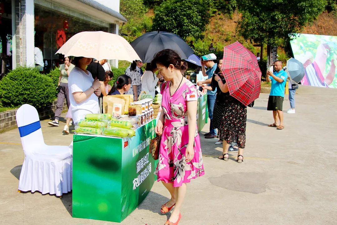 户外拓展,自助烧烤,露营,会议团体接待，团建，