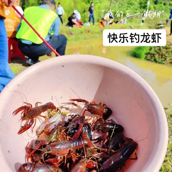 户外拓展,自助烧烤,露营,会议团体接待,团建, 户外拓展,自助烧烤,露营,会议团体接待,团建,